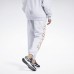 Джоггеры Classics Graphic Fleece
