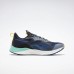 Кроссовки Reebok National Geographic Floatride Energy 3 Adventure